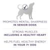 High Protein Dry Senior Dog Food Plus Vibrant Maturity Adult 7 Plus Formula