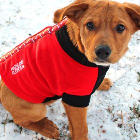 Highline Fleece Coat (Color: Red and Black With Rolling Bones, size: Size 14)