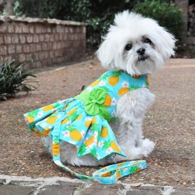 Pineapple Luau Dog Harness Dress with Matching Leash (size: Xlarge)