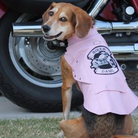 Biker Dawg (Color: Pink, size: X-Large)