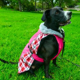 Alpine All-Weather Dog Coat (Color: Raspberry Plaid, size: small)