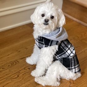 Weekender Dog Sweatshirt Hoodie (Color: Black & White Plaid Flannel, size: medium)