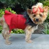 Red Wool Classic Dog Coat Harness and Fur Collar with Matching Leash